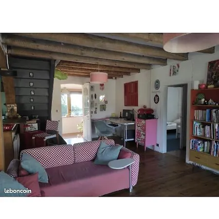Belle Landaise Avec Piscine